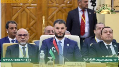 وزير الداخلية يدعو إلى تعزيز منظومة التعاون العربي لتحقيق الأمن والسلم