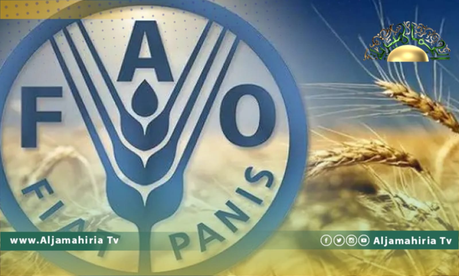 الفاو