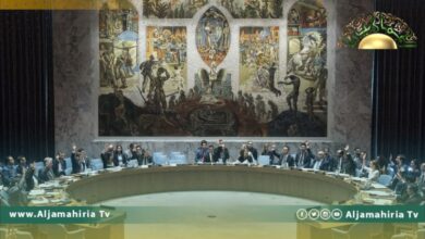 الصين تشد على ضرورة حل الدولتين الفلسطينية والإسرائيلية واستئناف محادثات السلام