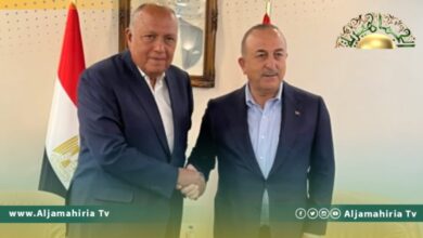 وزيرا خارجية مصر وتركيا