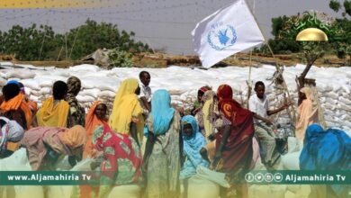 برنامج الأغذية العالمي: نهب 17 ألف طن من المساعدات الإنسانية في السودان
