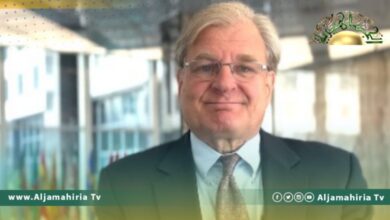 السفير الأمريكي نورلاند