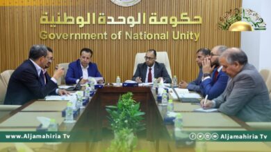 لجنة الاستثمار بمجالات الطاقات المتجددة تؤكد ضرورة دعم تنفيذ الاستراتيجية الخاصة بالقطاع