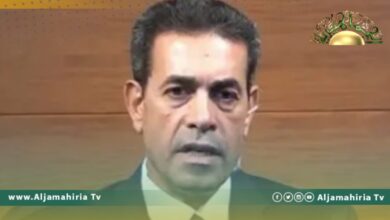 عماد السايح