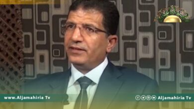 عبد النبي عبد المولى