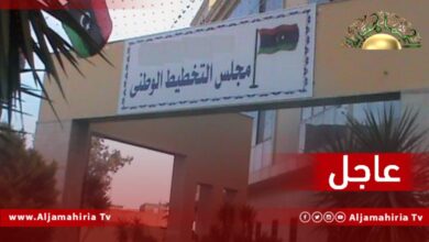 مجلس التخطيط العام