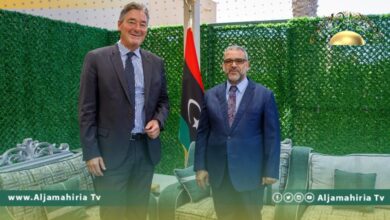 رئيس مجلس الدولة والسفير الألماني