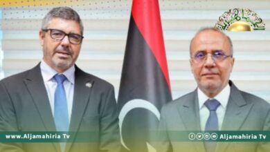 سابايدل واللافي