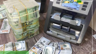 عاجل| وزارة المالية تُعلن إحالة مرتبات أكتوبر إلى المركزي