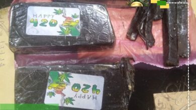 حبس أربعة متهمين في تشكيل عصابي للاتجار بالمخدرات بطرابلس والزاوية