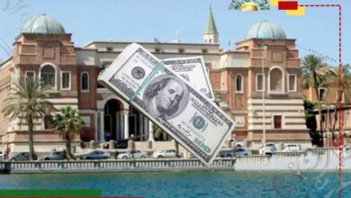 عاجل| المركزي يكشف عن حجم الإيرادات النفطية ومبيعات النقد الأجنبي خلال أول أسبوعين من يناير