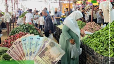 خبير اقتصادي: خفض قيمة الدينار يفاقم التضخم ويضغط على معيشة المواطنين
