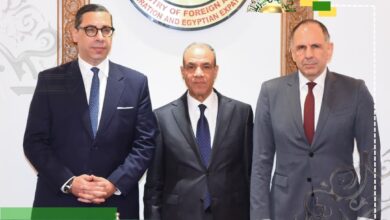 عبد العاطي يطالب بخروج جميع القوات الأجنبية والمرتزقة من ليبيا