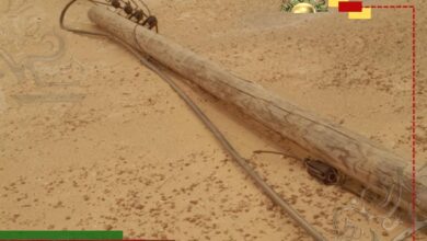 عاجل| الكهرباء تحذر المواطنين من الاقتراب من الأسلاك المتضررة