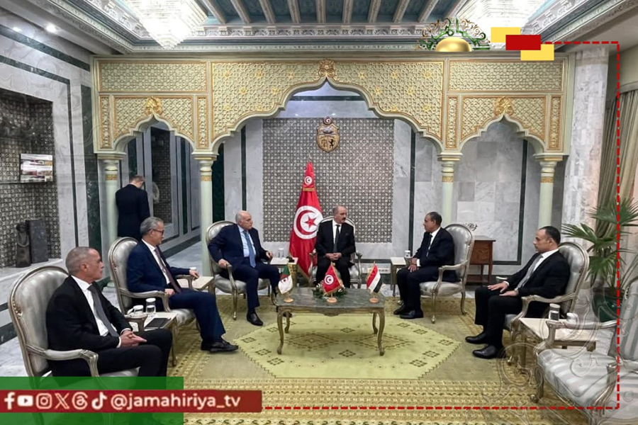 اجتماع وزراء خارجية مصر وتونس والجزائر 