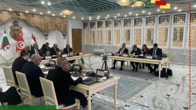 اجتماع وزراء خارجية مصر وتونس والجزائر