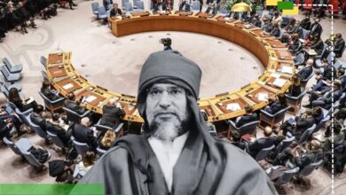 بوحريبة ينتقد ازدواجية المجتمع الدولي ومجلس الأمن وصمتهم بشأن الشهيد المغدور سيف الإسلام