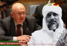 مندوب روسيا لدى الأمم المتحدة: ندين بشدة مقتل سيف الإسلام ونطالب بتحقيق نزيه