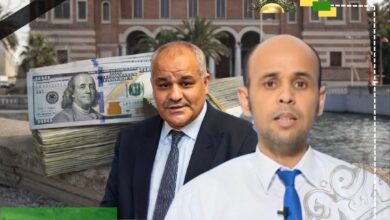 الفضيل: بيع الدولار عبر المصارف خطوة إيجابية مؤقتة دون معالجة جذور الأزمة