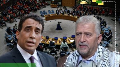 محلل سياسي: تحركات المجلس الرئاسي تمثل محاولة لإعادة صياغة التوازنات