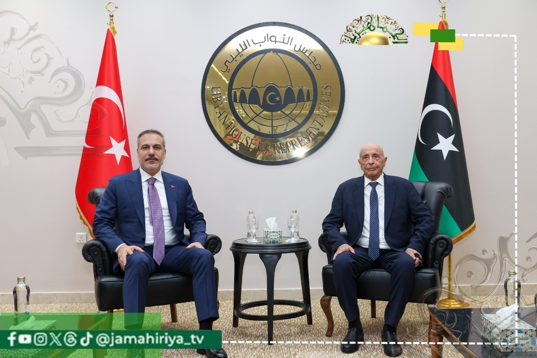 باحث تركي: الملف الليبي يحظى بأهمية كبيرة لدى أنقرة وتطوراته تنعكس على مصالحها