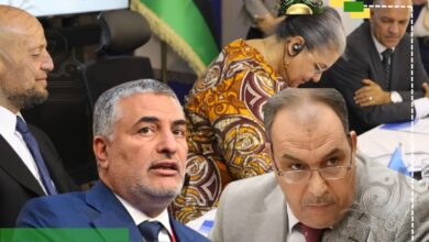 الصول لـ الجماهيرية: 103 نواب حسموا «4+4».. ومجلس الدولة لا يملك تعطيل قرار النواب