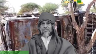 تقرير| ذكرى قصف رتل سيف الإسلام القذافي بوادي زمزم.. جريمة الناتو والعملاء باقية