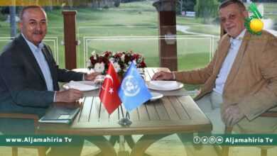 وزير الخارجية التركي وكوبيش