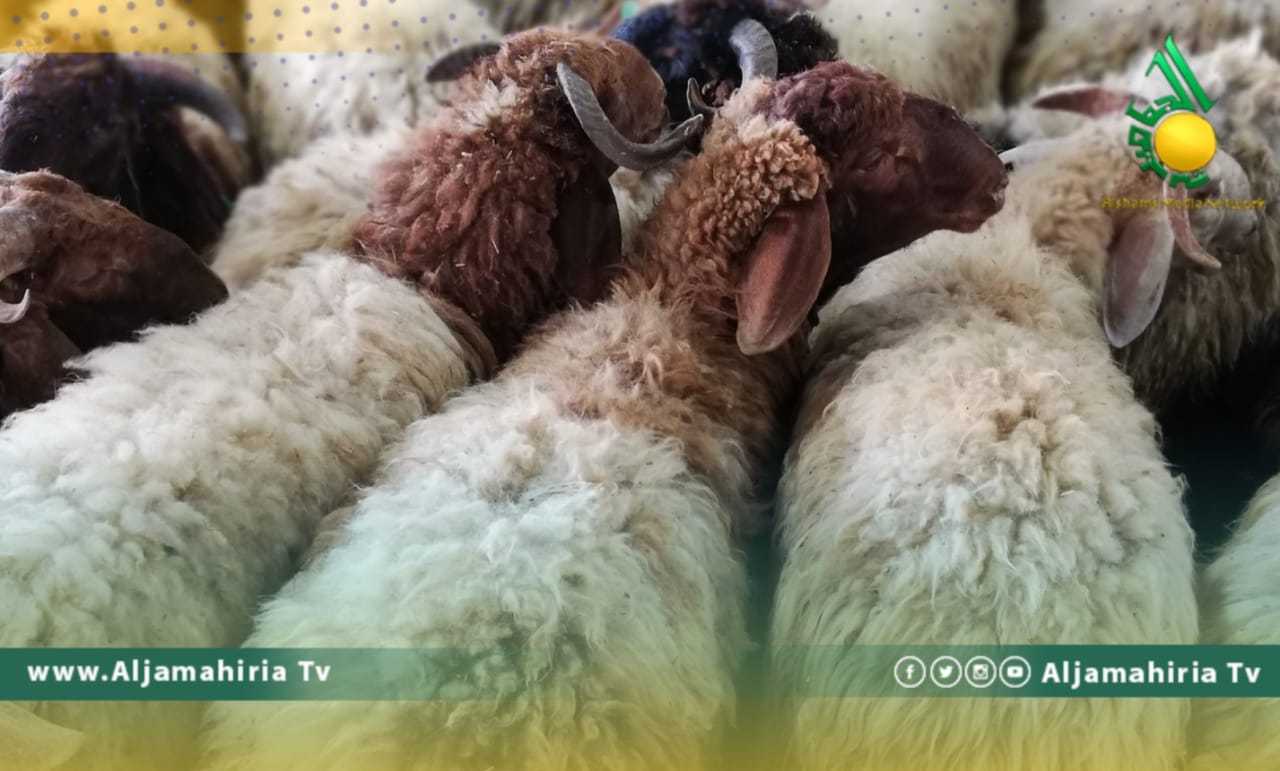 مجلس الوزراء