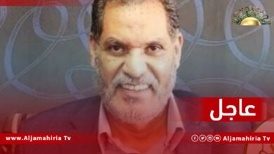 عضو الفريق السياسي