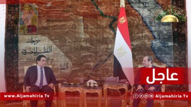 عاجل// الرئيس المصري يشيد بجهود الرئاسي في توحيد مؤسسات الدولة وإرساء قواعد المصالحة الوطنية