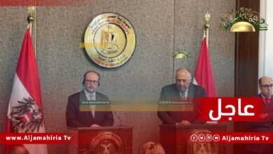 عاجل// شكري: ندعو لاحترام شرعية مجلس النواب الليبي والمجلس الرئاسي والعمل على الدفع نحو إجراء الانتخابات