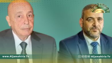 عقيلة صالح وخالد المشري يتفقان على عدم إصدار قانون إنشاء المحكمة الدستورية