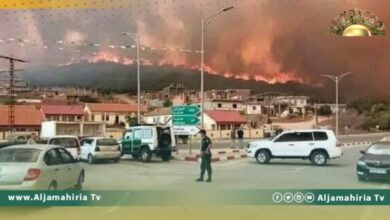 الجيش الجزائري يشارك في إخماد حرائق ضخمة بغابات الولايات الشرقية