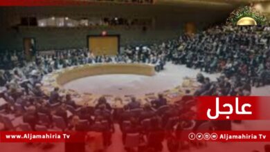 عاجل / مندوب الولايات المتحدة لدى مجلس الأمن الدولي: ليبيا على حافة الهاوية جراء استمرار حالة الانسداد السياسي الراهنة