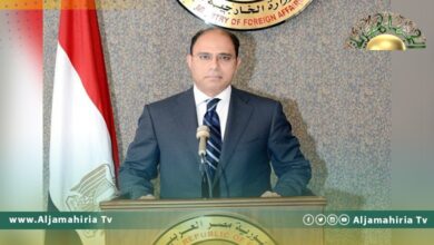 الخارجية المصرية: علاقتنا جيدة بكافة الأطراف في ليبيا وانسحاب شكري إجراء دبلوماسي