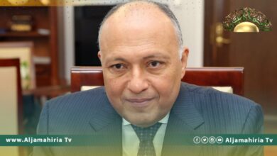 وزير الخارجية المصري يؤكد أهمية إجراء الانتخابات الليبية في أسرع وقت