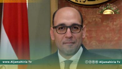 الخارجية المصرية تبرر مغادرة وفدها اجتماع مجلس وزراء الخارجية العرب