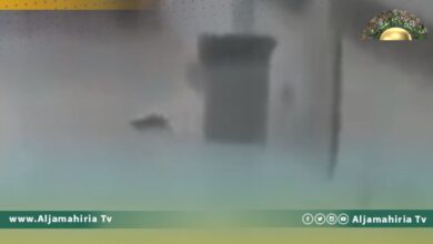 بالفيديو| جرذ يتجول في ممرات مستشفى طرابلس