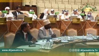 نصية يقترح على البرلمان العربي تأسيس إدارة أزمة بشأن الأوضاع في السودان