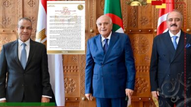 وزراء خارجية مصر والجزائر وتونس يدعون لتنظيم انتخابات ليبية متزامنة