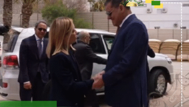 حلفاء الدبيبة