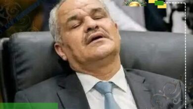 أحمد عبد الحكيم حمزة: كرامة المواطن أهم من الإنفاق دون ميزانية وفتح خزائن المركزي